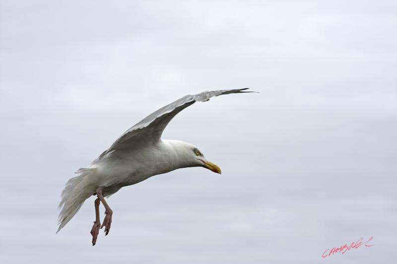 Cjp_2009_07_19_165436 (2).jpg
